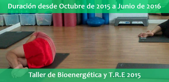 Taller de bioenergía en Sevilla y T.R.E